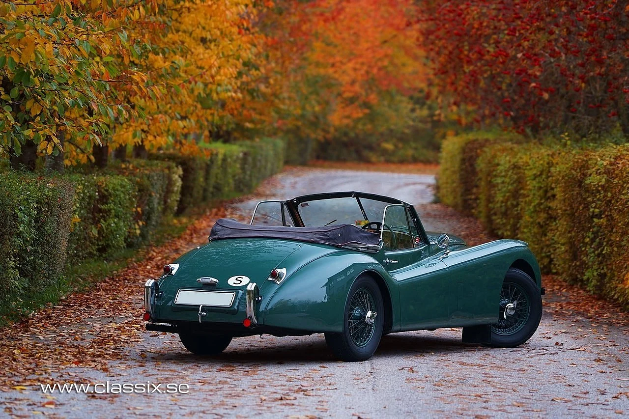Bild von 1954 Jaguar XK120 (5)