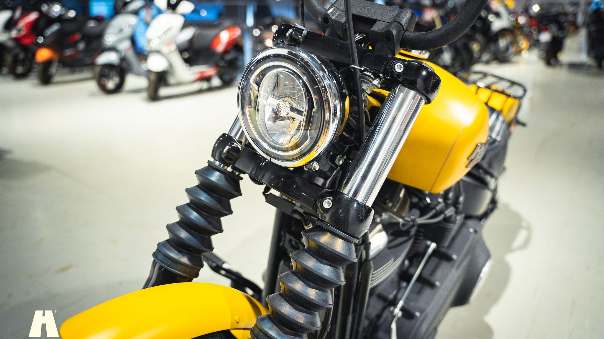 Exteriörbild på 2019 Harley-Davidson Street BOB