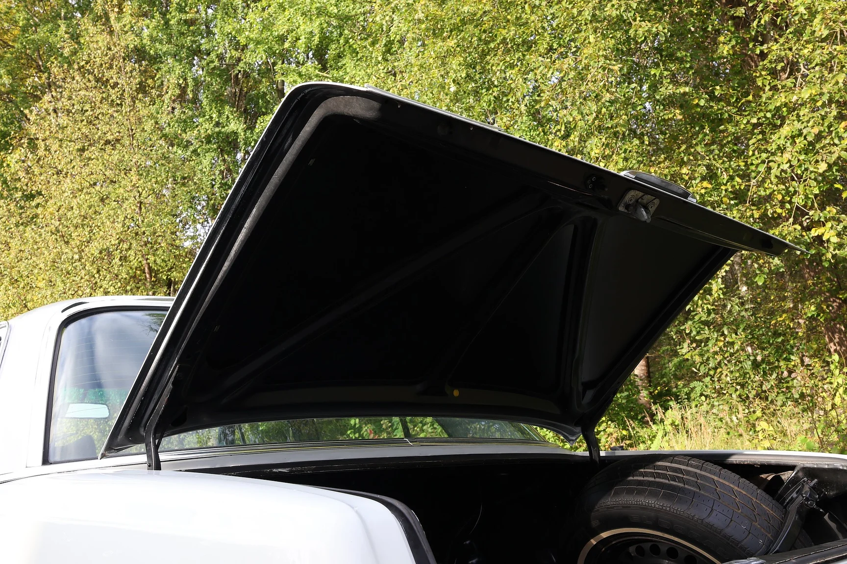 Interior image of 1972 Mercedes-Benz 280 SE 4.5  (65)