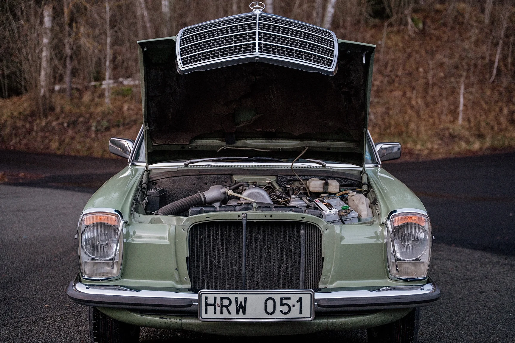 Image of 1975 Mercedes-Benz 240 D 3.0 (11) mechanics