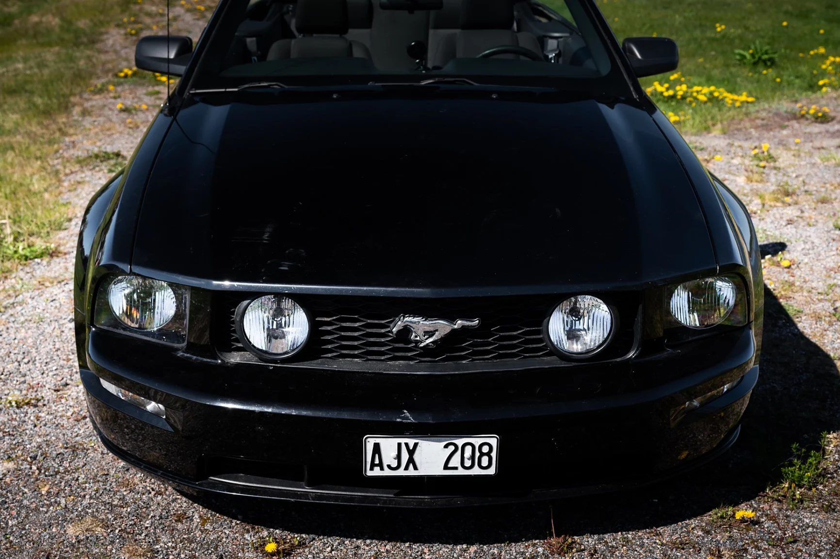 Exteriörbild på 2006 Ford Mustang Convertible (47)
