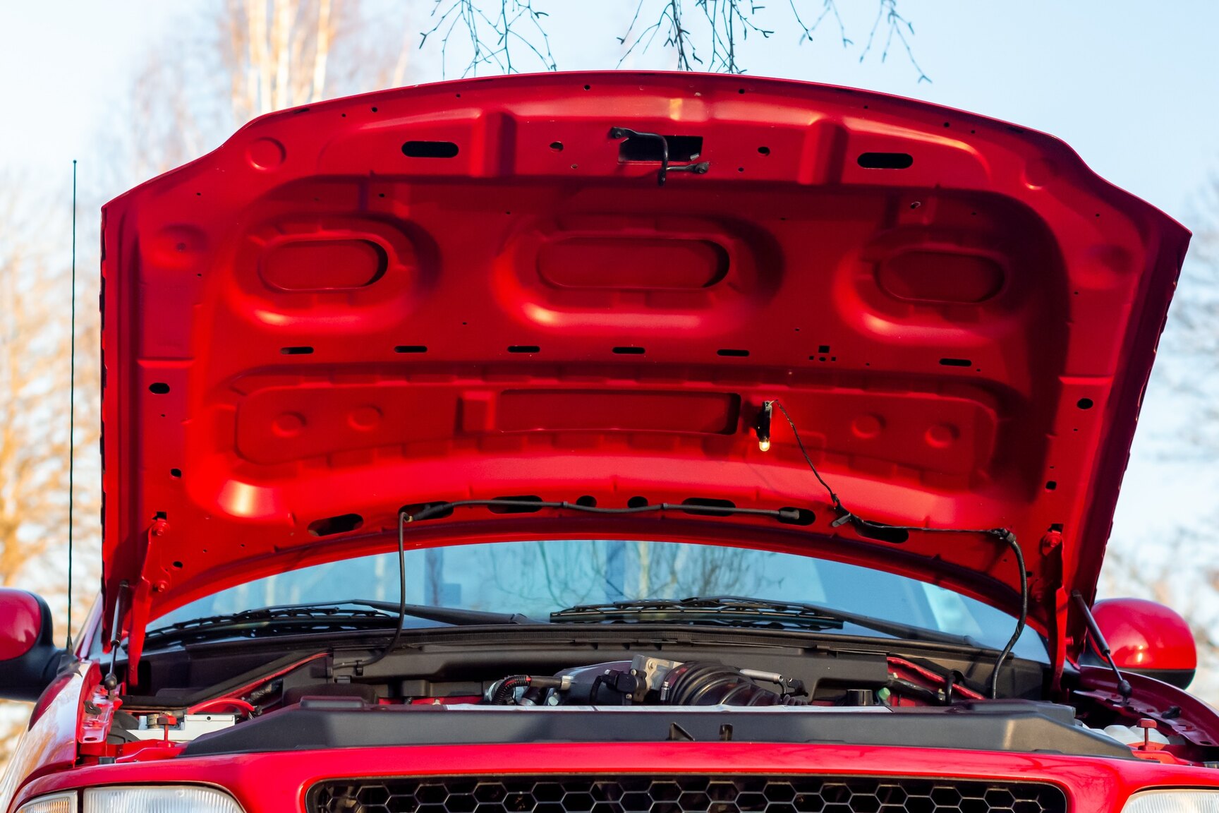Image of 2000 FORD F-150 SVT Lightning mechanics