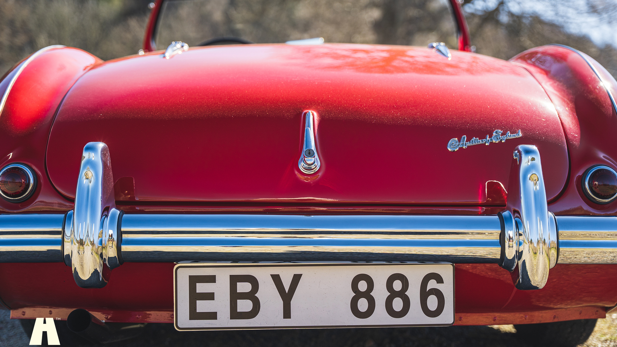 Aussenfoto 1954 Austin Healey 100 BN1 (16)