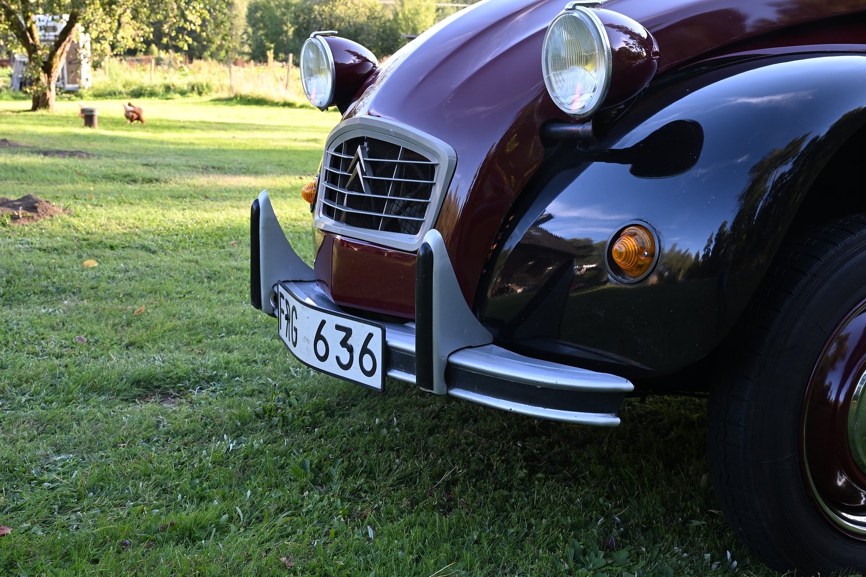 Exterior image of 1981 Citroën 2CV Charleston