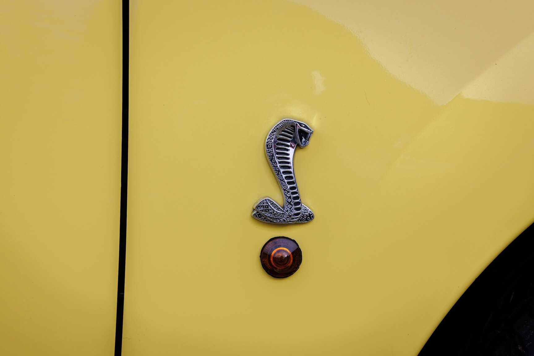 Exteriörbild på 2003 Ford Mustang SVT Cobra