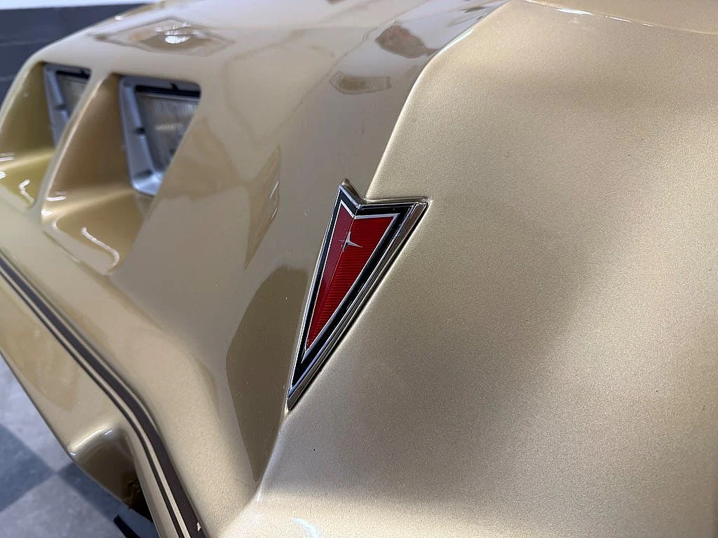 Bild von 1979 Pontiac Firebird (20)