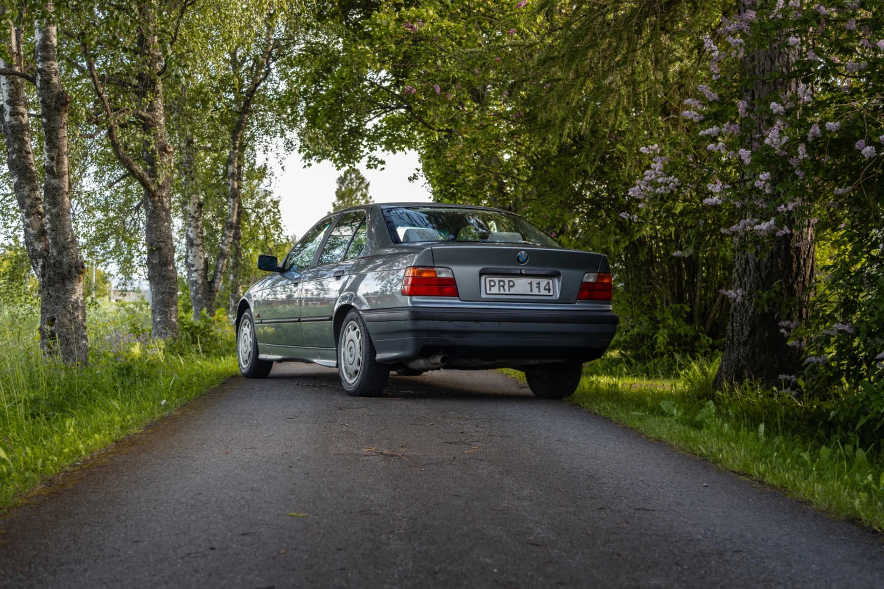 Exteriörbild på 1994 BMW 318i - NO RESERVE (5)