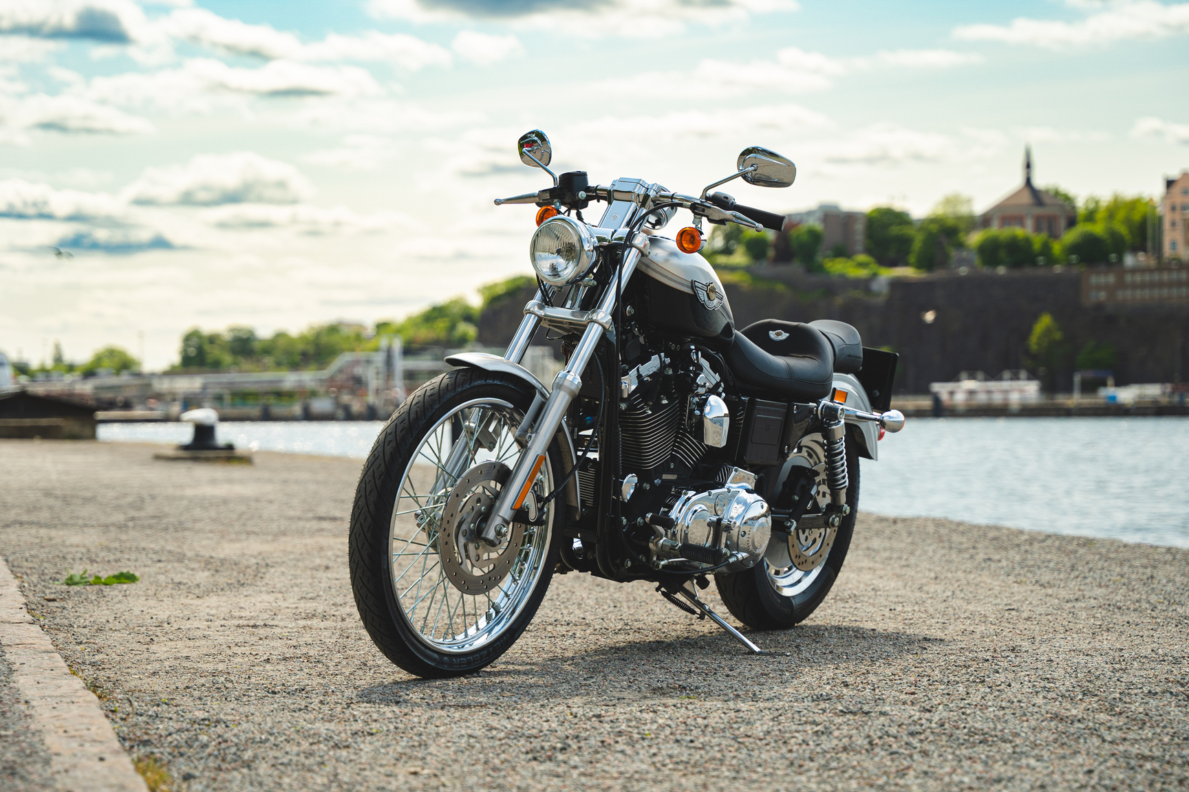 Exterior image of 2003 Harley Davidson Sportster 1200 100th Anniversary (3)