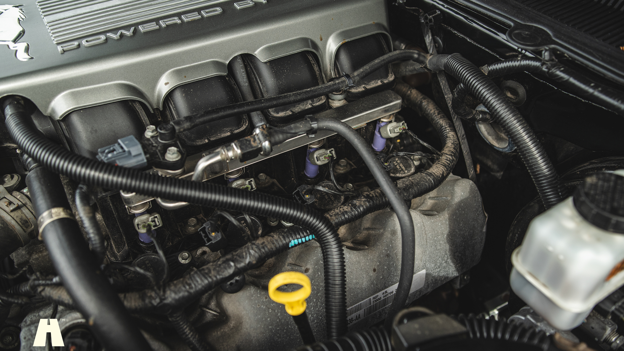 Image of 2010 Ford Mustang GT  mechanics