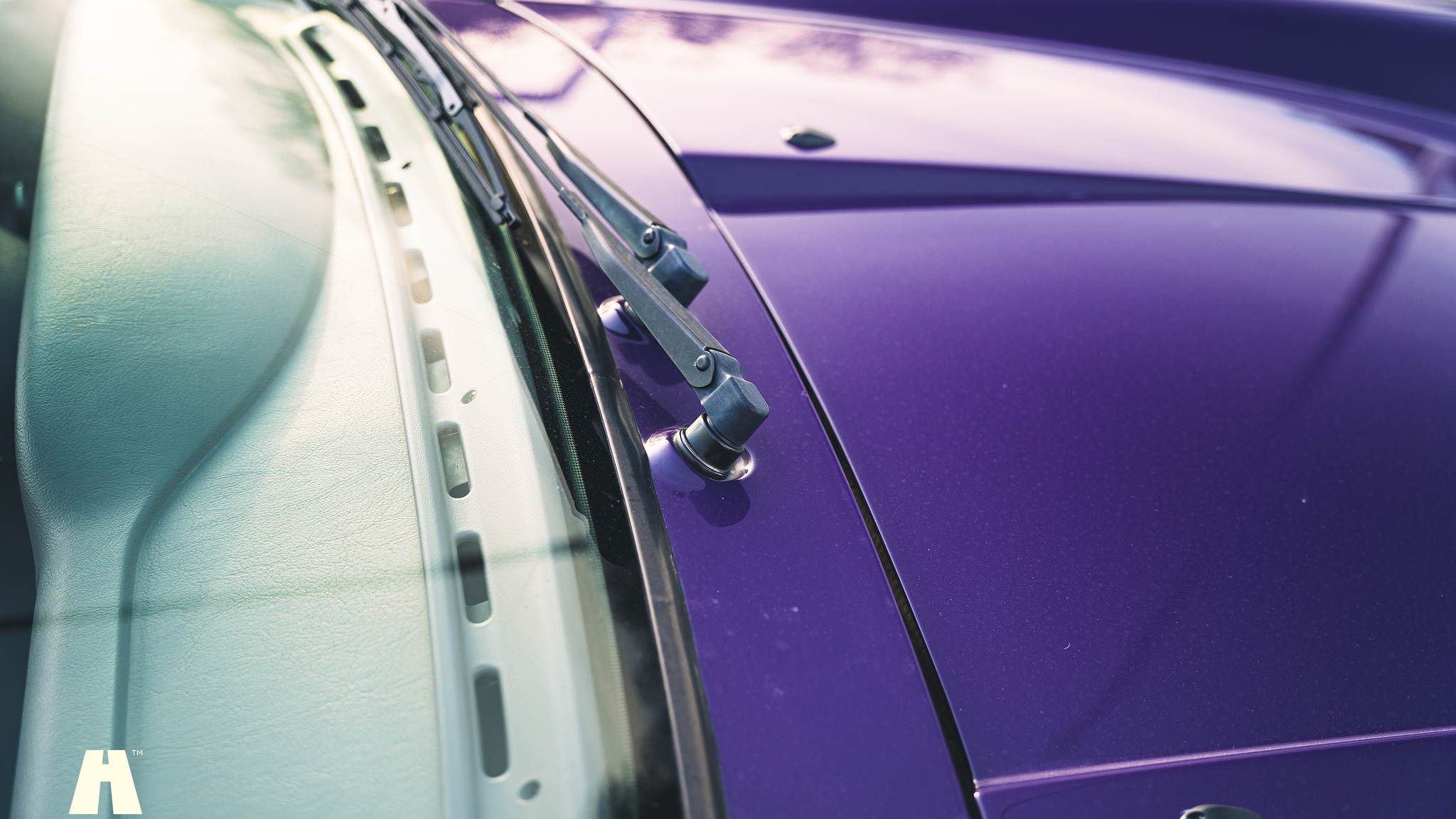 Aussenfoto 1994 Porsche 993 Cabriolet (48)