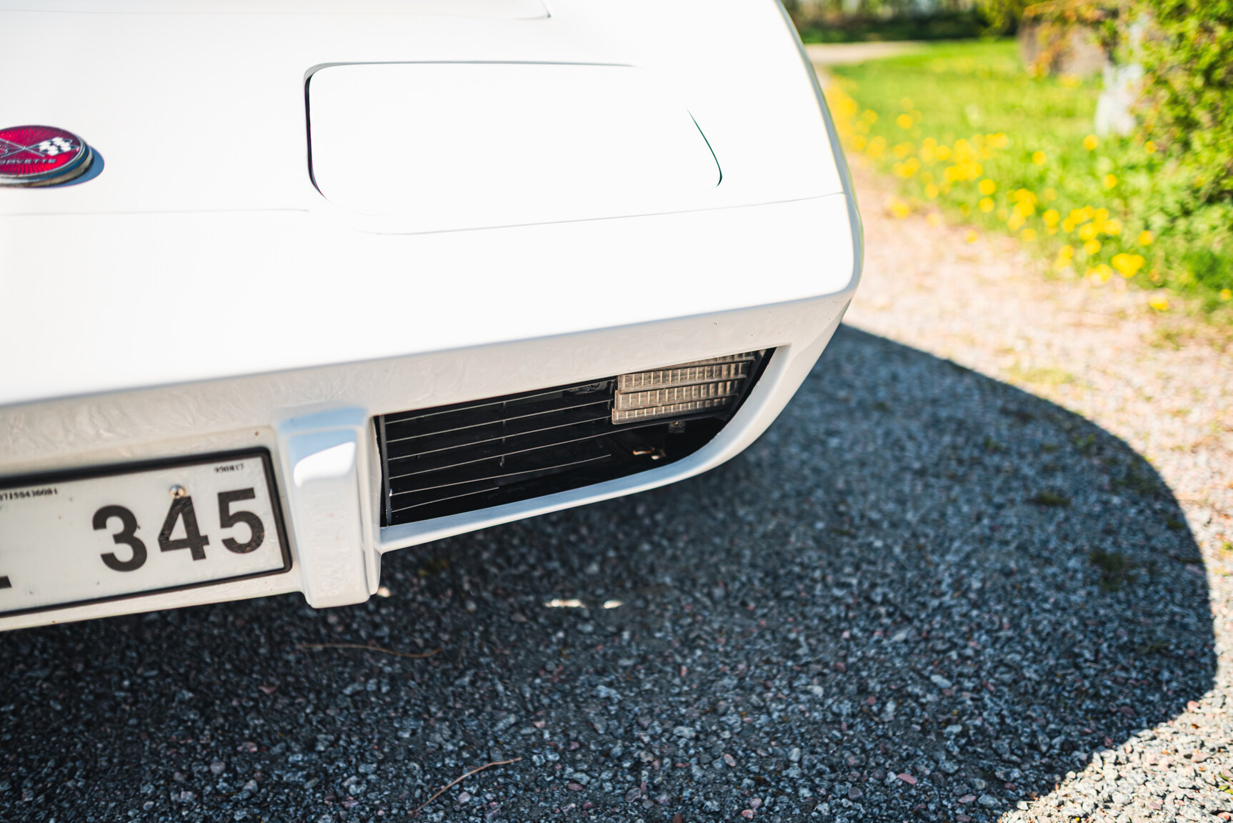 Exterior image of 1975 Chevrolet Corvette Stingray (26)
