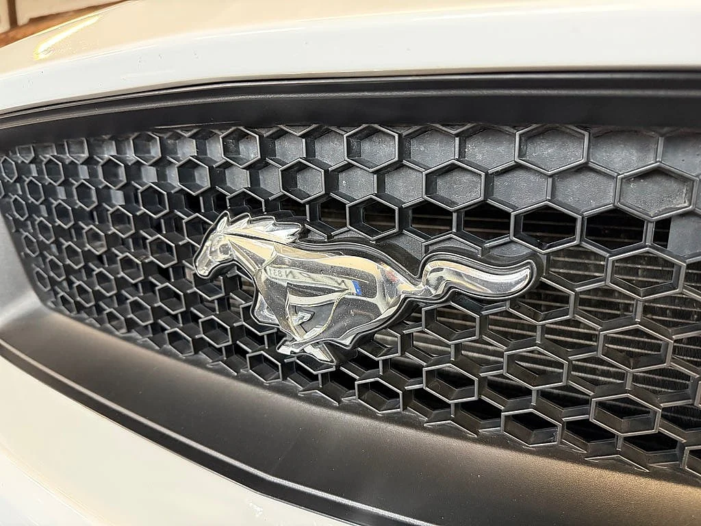 Bild von 2016 Ford Mustang (13)