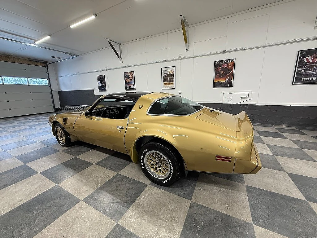Bild von 1979 Pontiac Firebird (13)