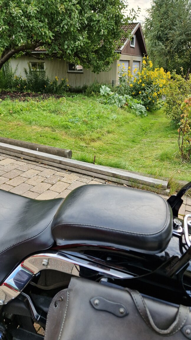 Exterior image of 2000 Harley-Davidson Softail Standard 1.4 Twin Cam 88B