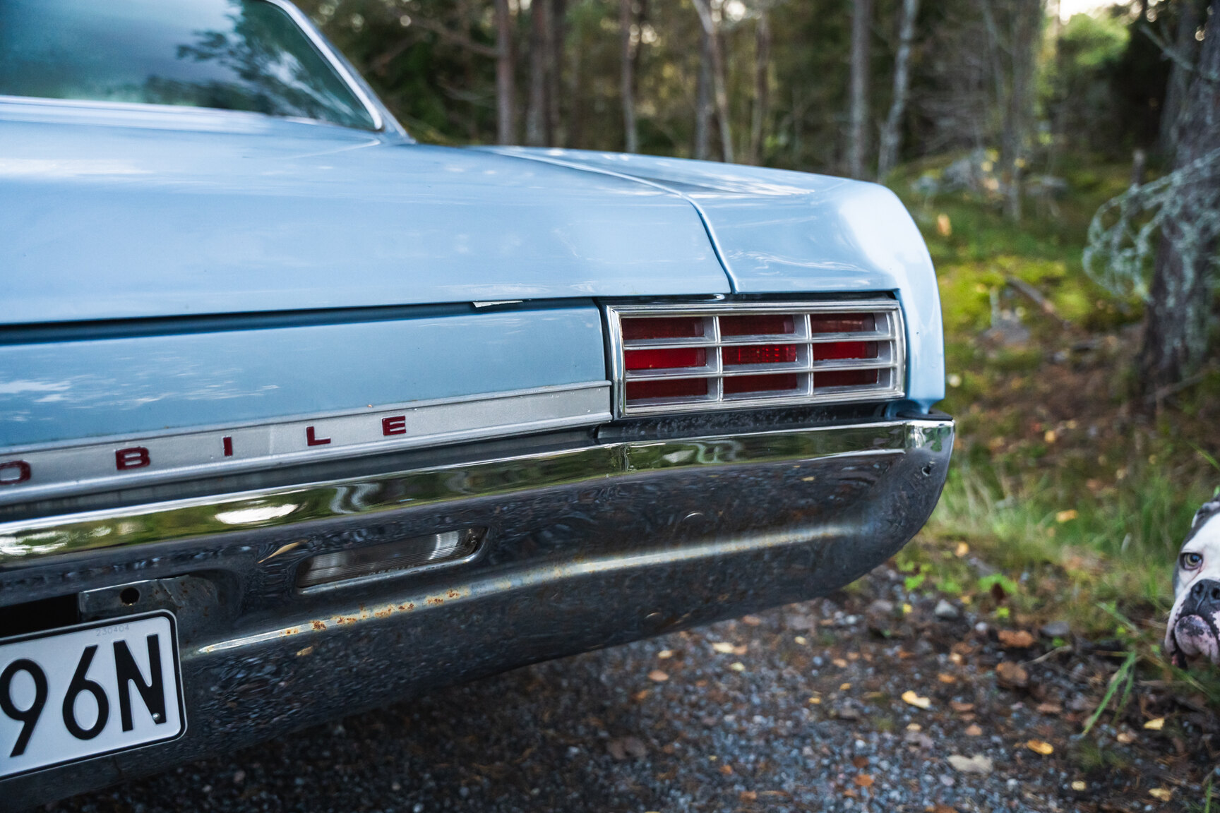 Exteriörbild på 1966 Oldsmobile Dynamic 88 Celebrity