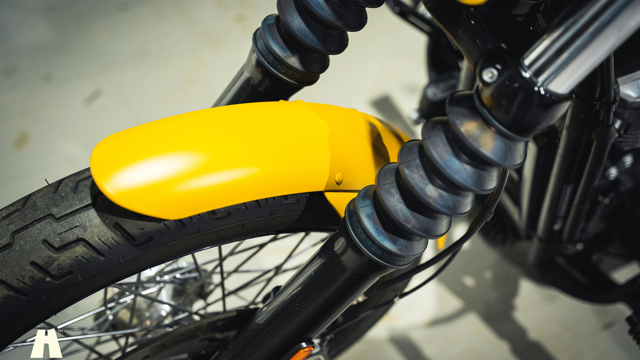 Aussenfoto 2019 Harley-Davidson Street BOB