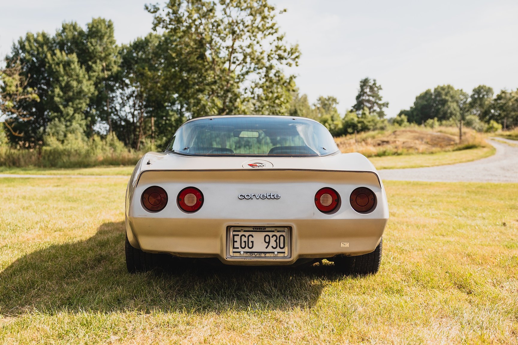 Exterior image of 1982 Chevrolet Corvette Collector Edition