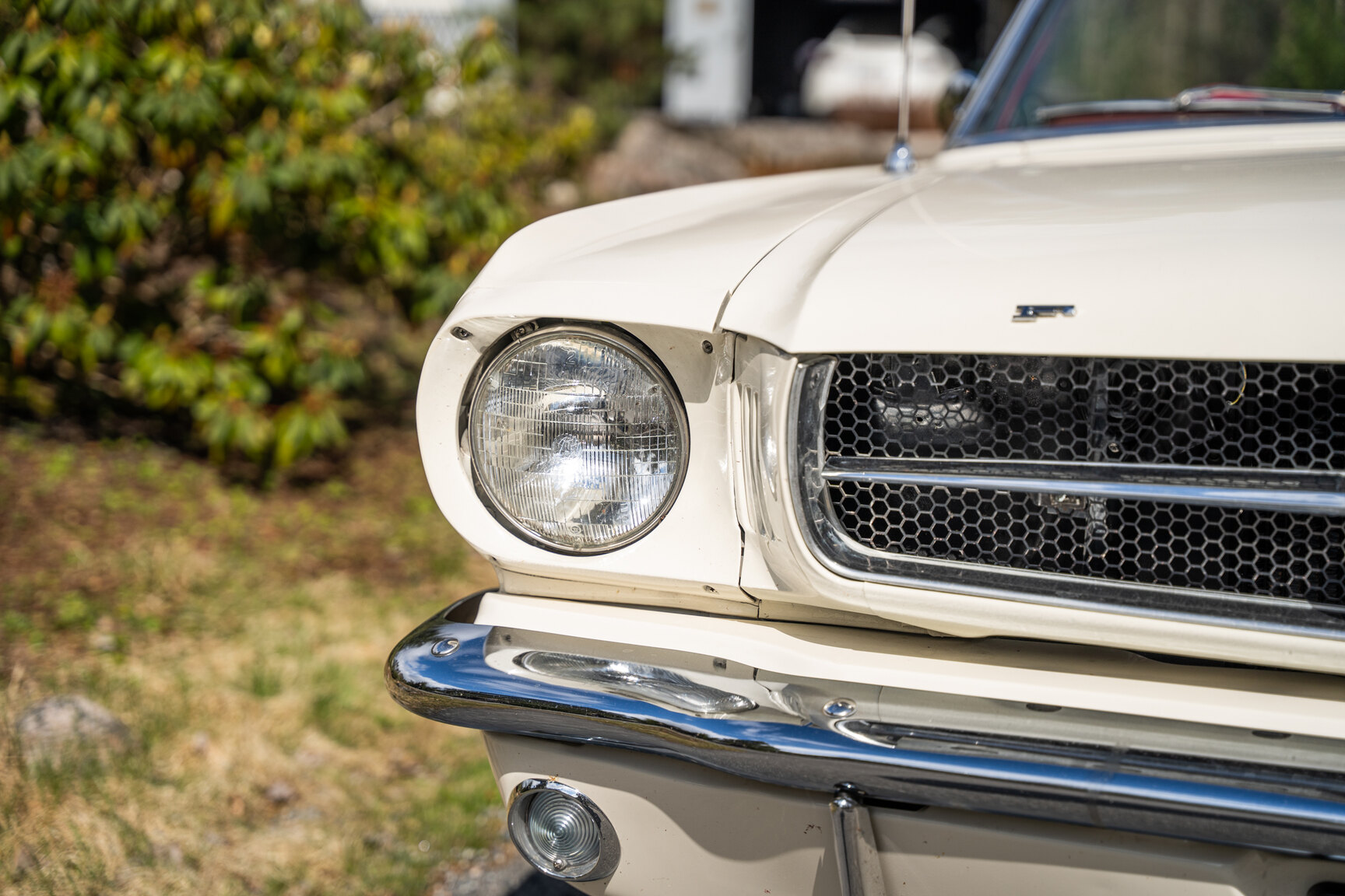 Aussenfoto 1965 Ford Mustang Cabriolet (24)