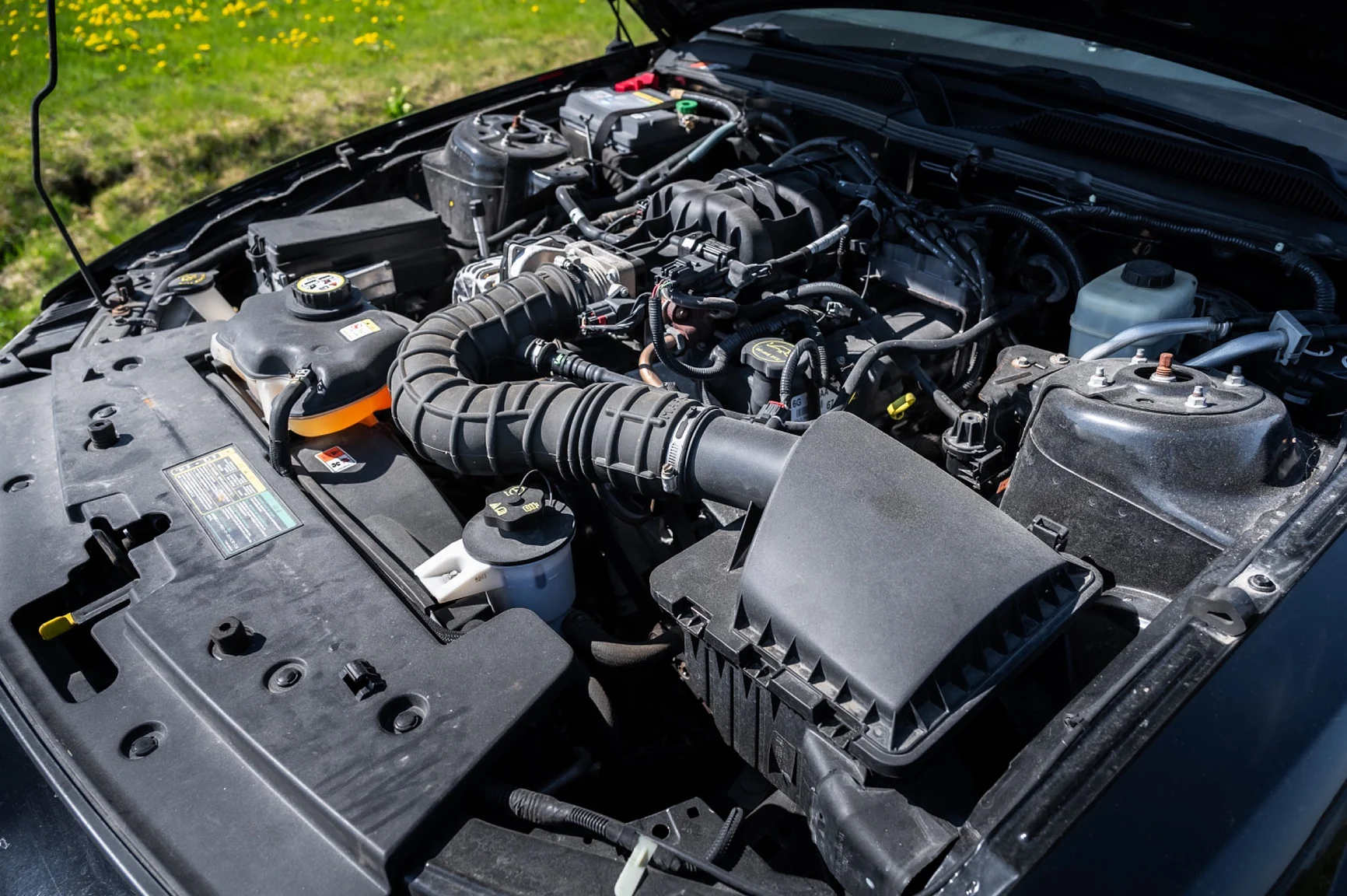 Image of 2006 Ford Mustang Convertible (1) mechanics
