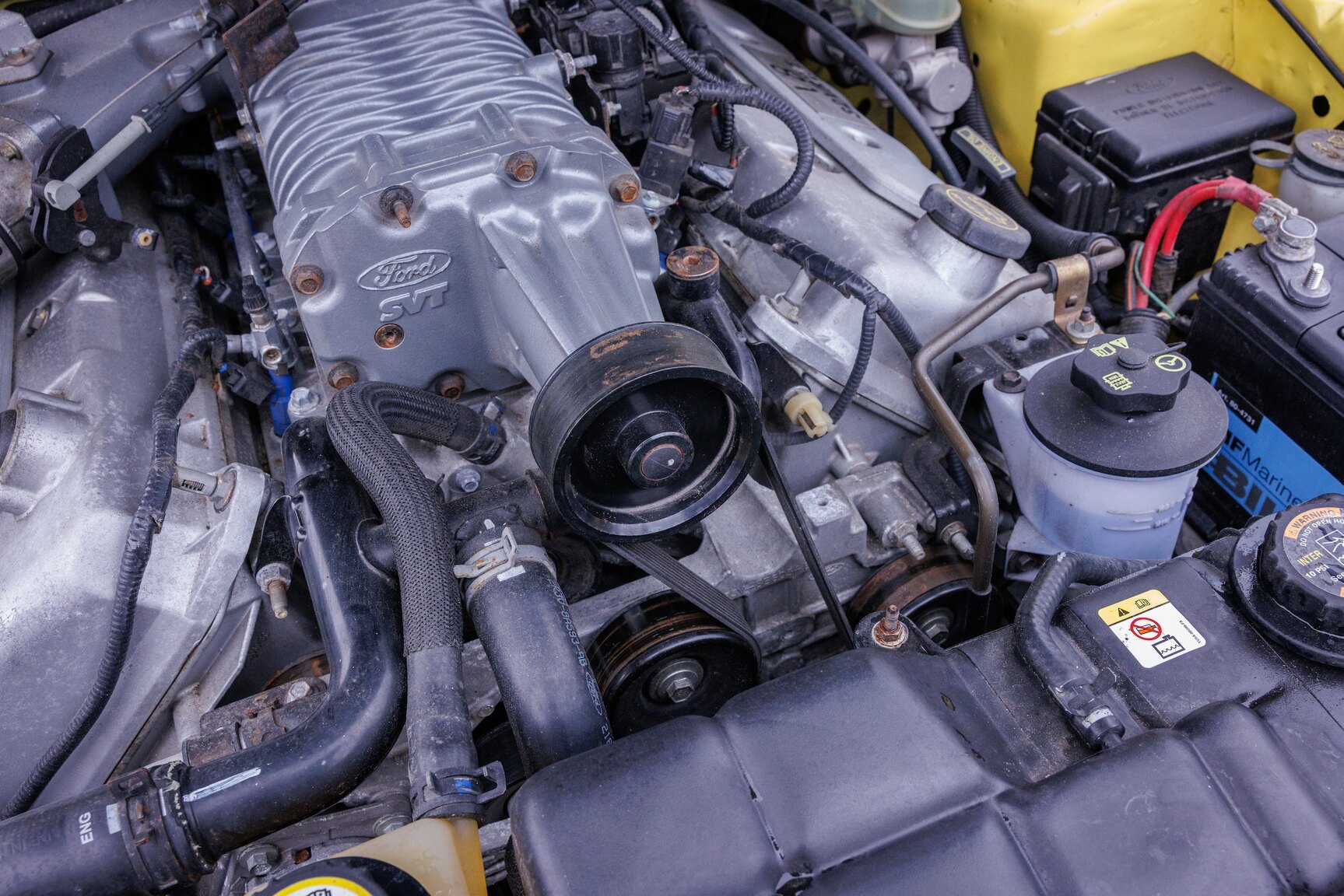 Image of 2003 Ford Mustang SVT Cobra mechanics