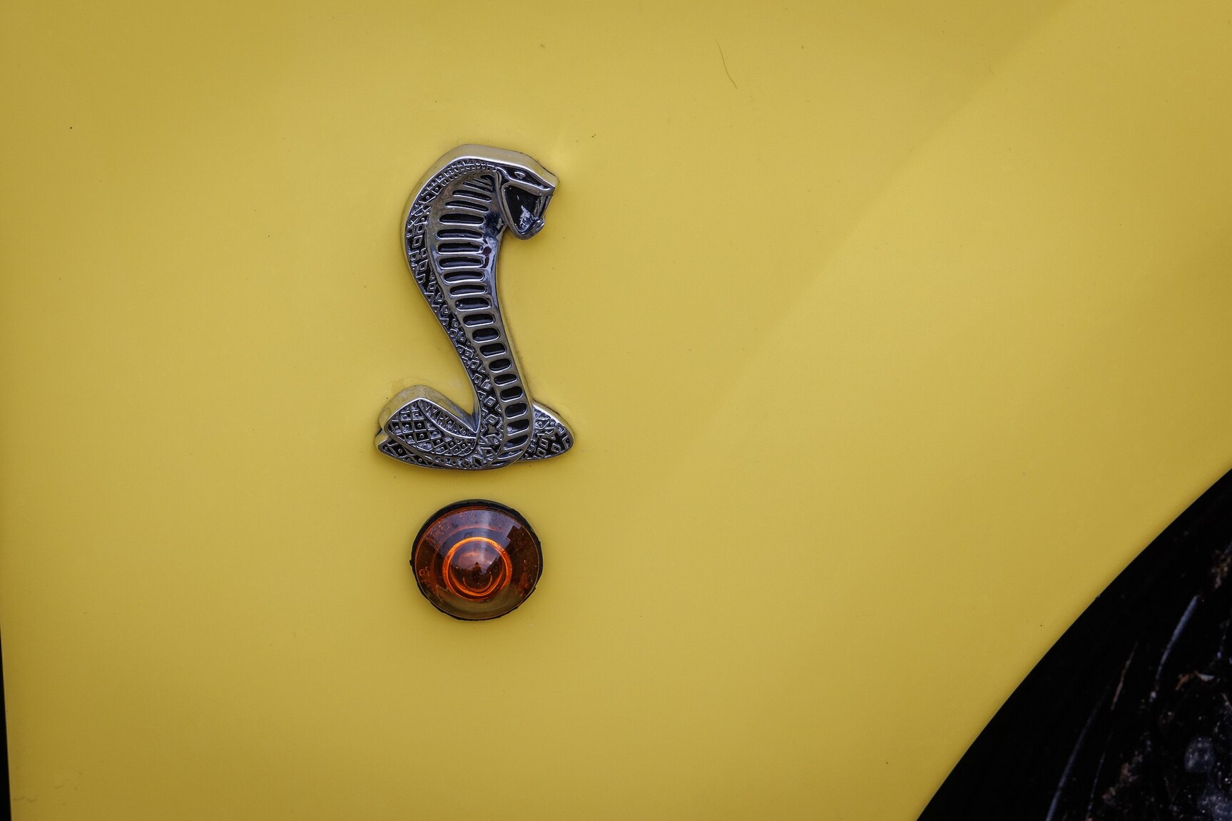 Exterior image of 2003 Ford Mustang SVT Cobra