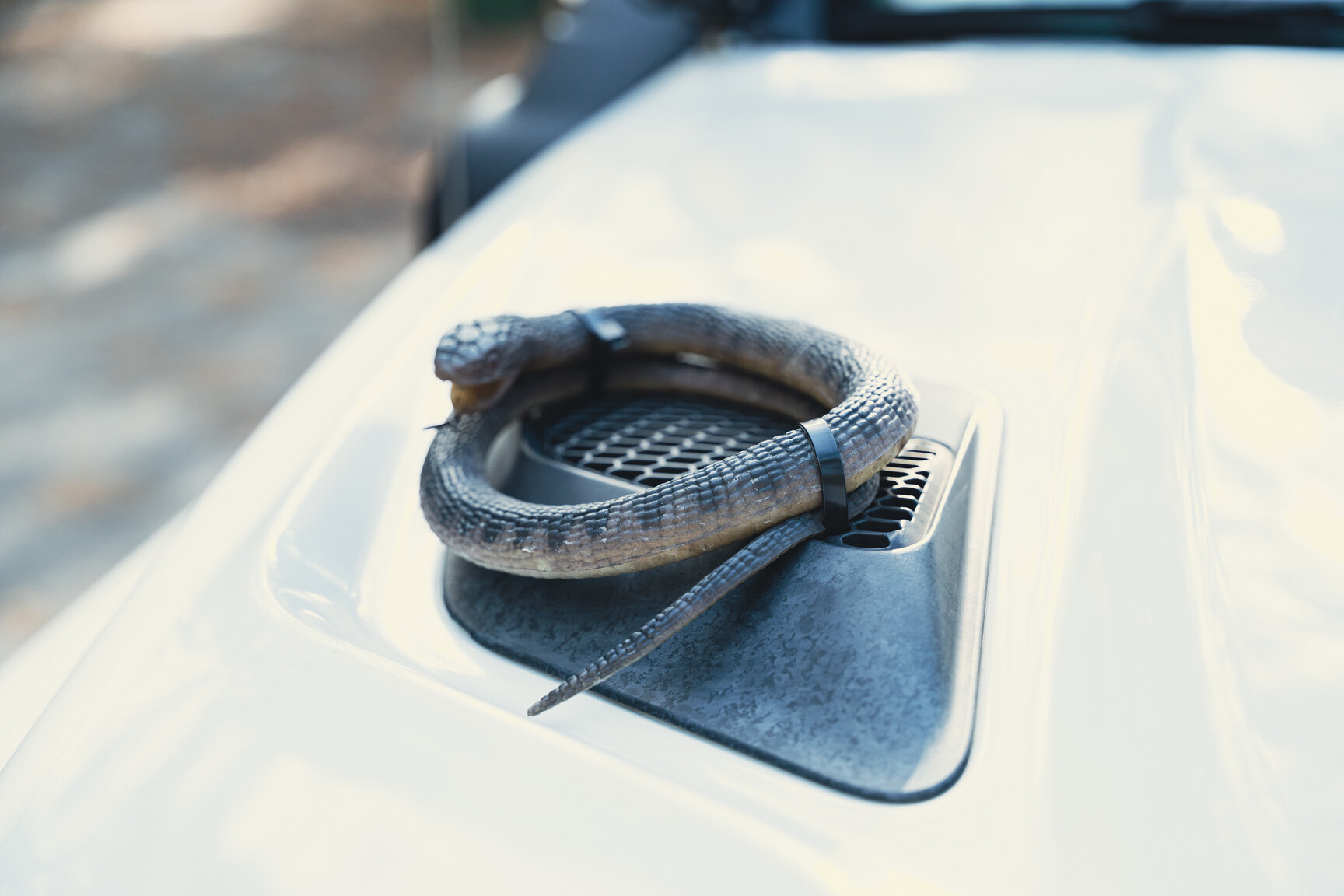 Exterior image of 2017 Dodge Ram 1500 AEV (49)