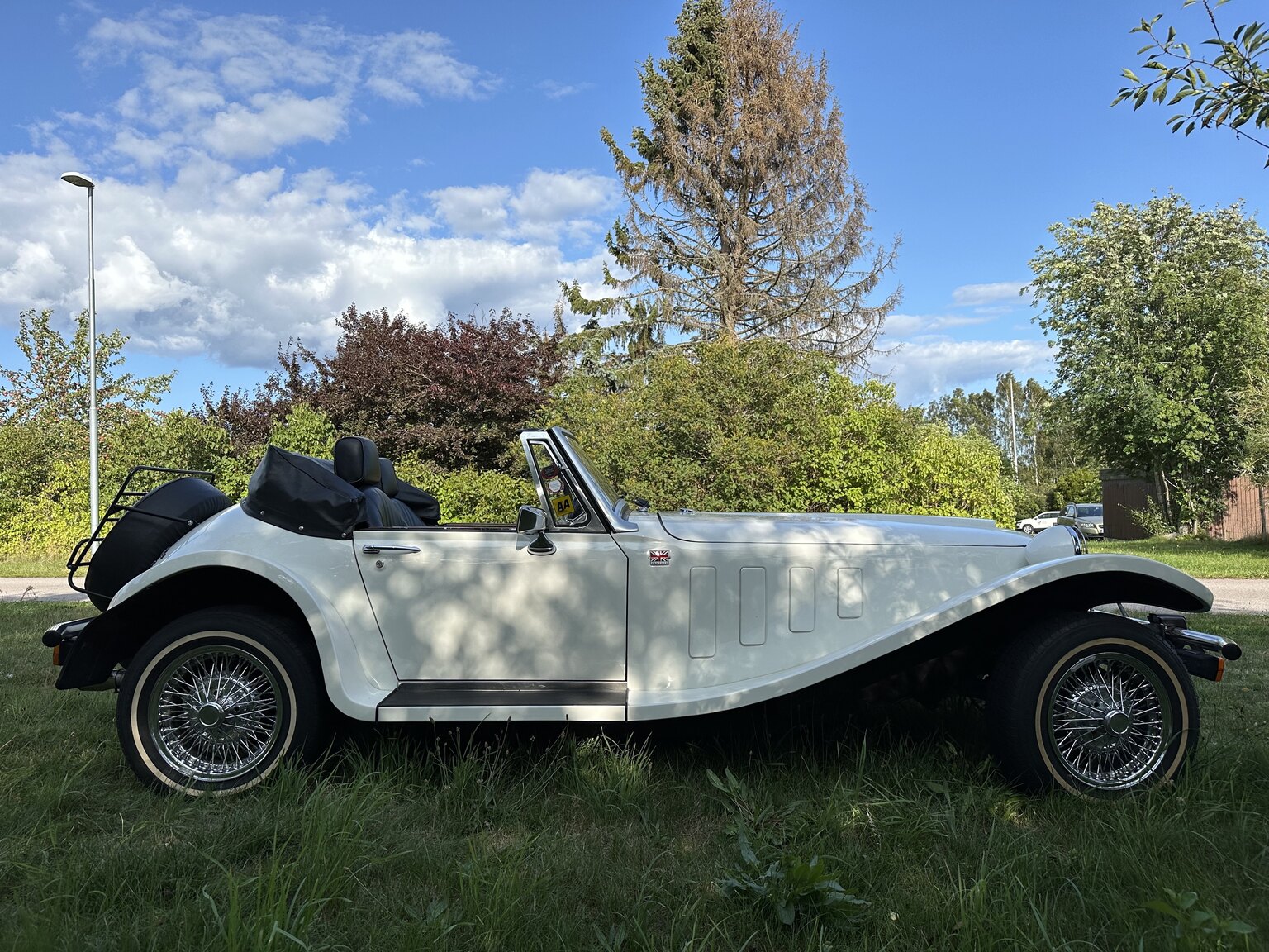 Exterior image of 1988 Panther Kallista