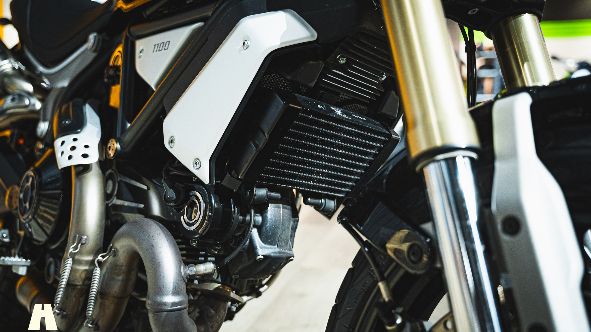 Image of 2018 Ducati Scrambler 1100 mechanics (2)