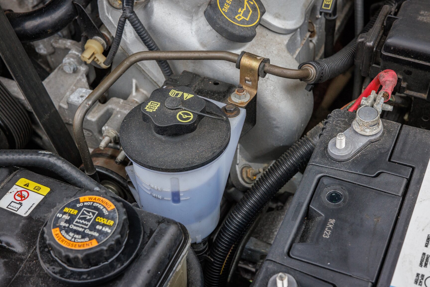 Image of 2003 Ford Mustang SVT Cobra mechanics