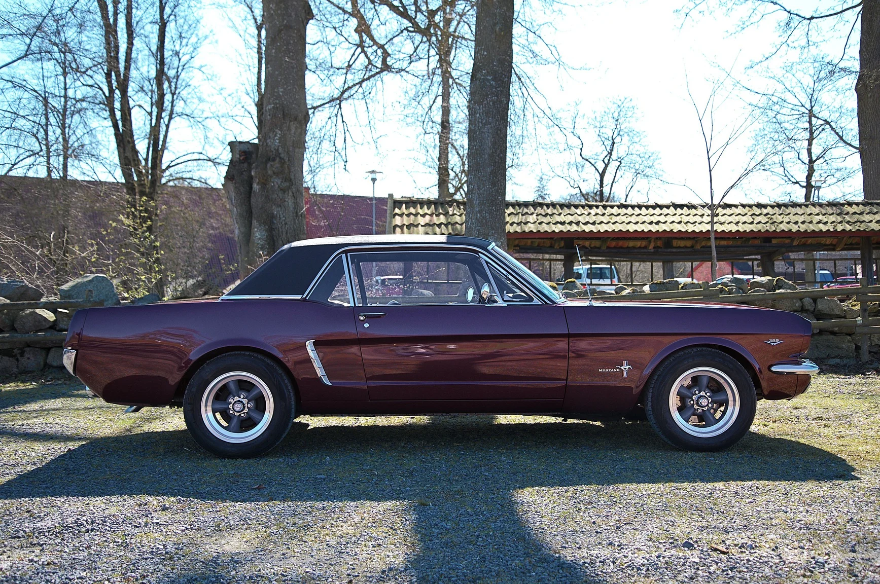Aussenfoto 1965 Ford Mustang HT 289cui (14)