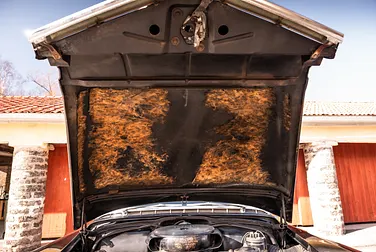 #<Image:0x00007f2fee4d7f90>