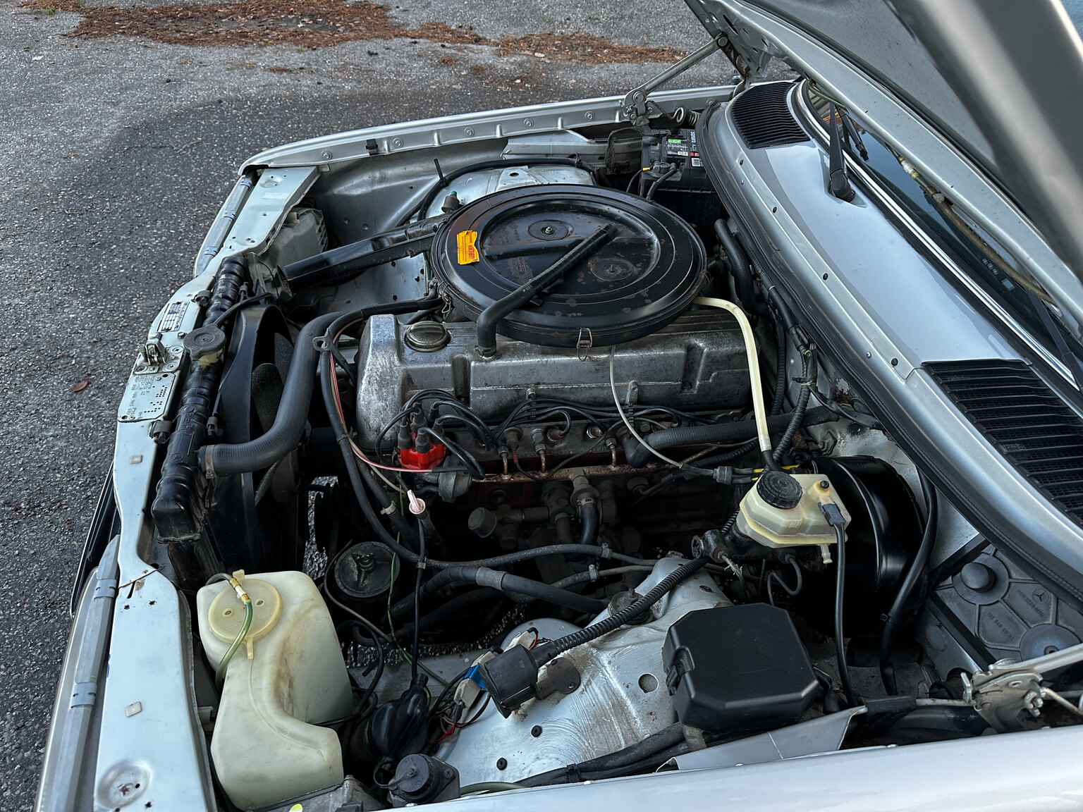 Image of 1978 Mercedes-Benz 250 mechanics