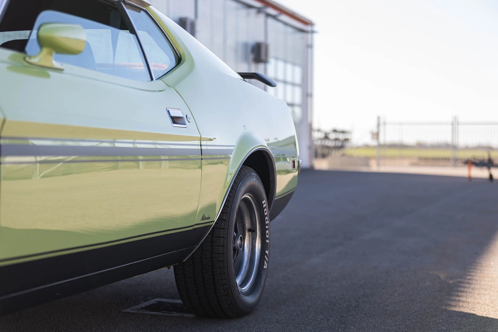 Aussenfoto 1971 Ford Mustang Mach 1 351cui (30)