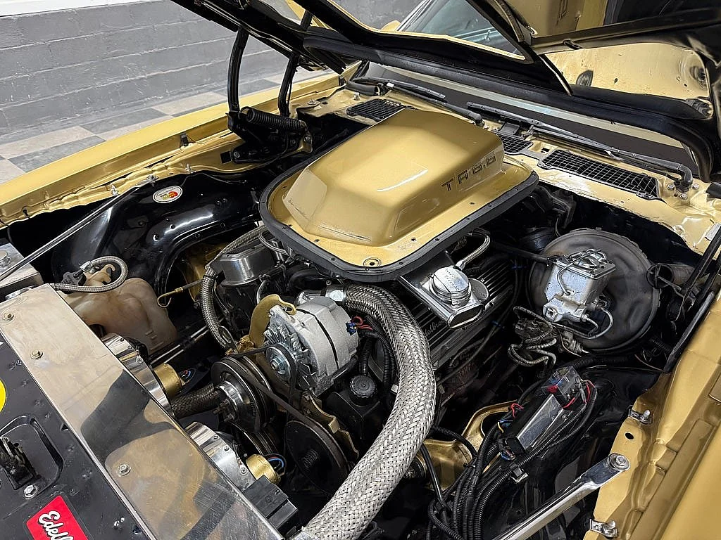 Bild von 1979 Pontiac Firebird (32)