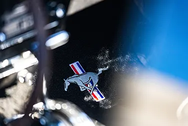 #<Image:0x00007fe450cddc00>