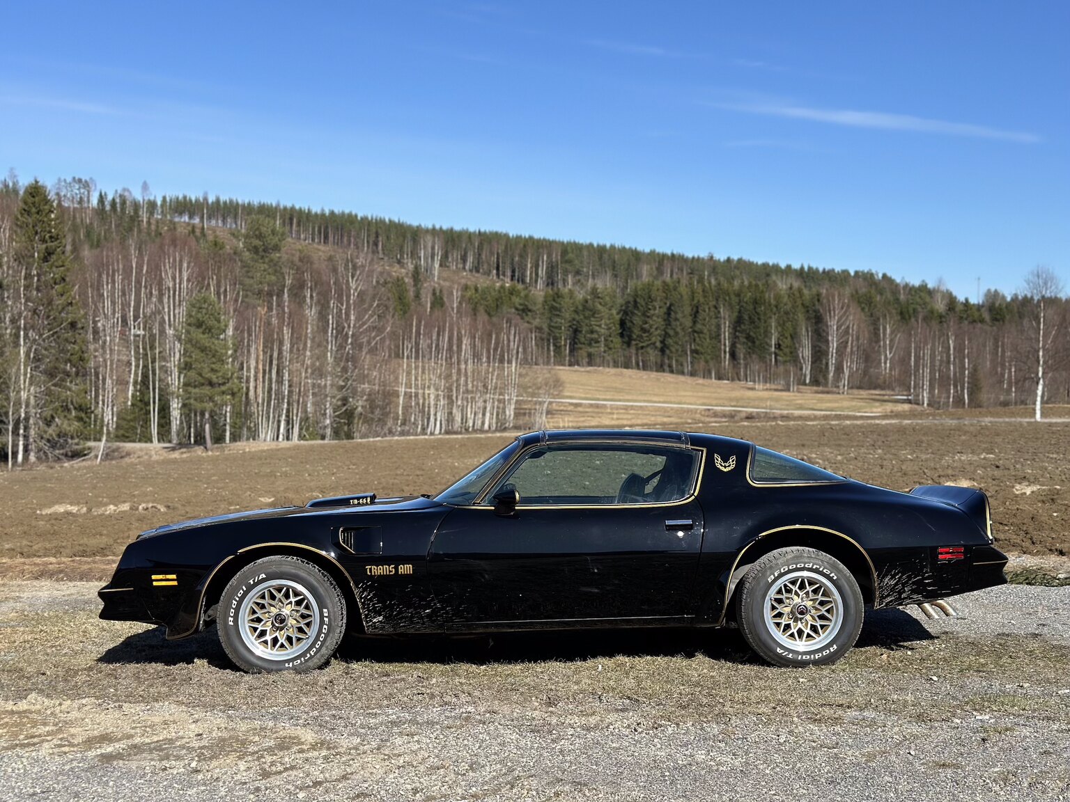 Aussenfoto 1978 Pontiac Trans Am Bandit 400