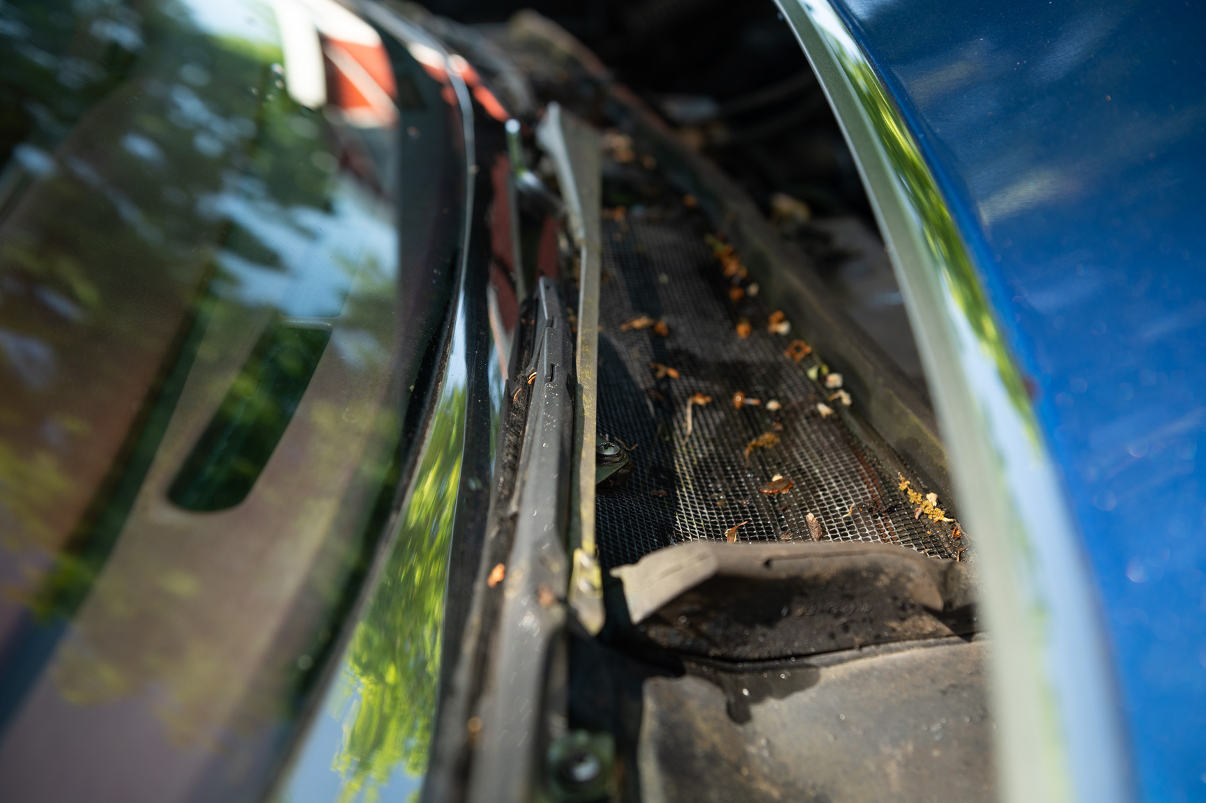 Aussenfoto 1968 Oldsmobile Toronado (96)