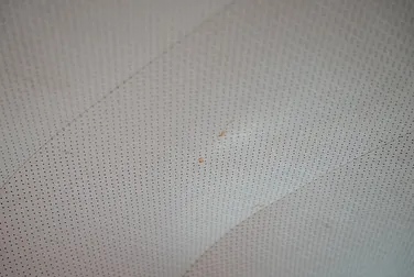 #<Image:0x00007fa2814c6910>