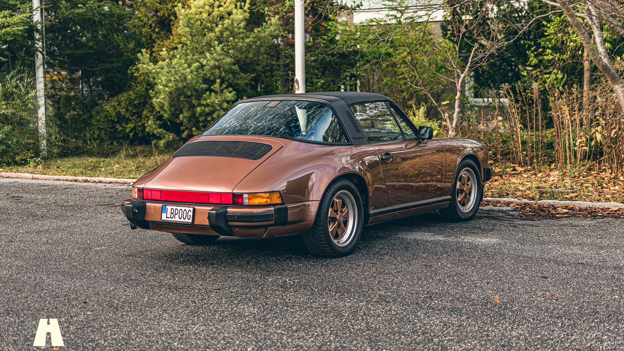 Aussenfoto 1989 Porsche 911 Carrera 3.2 Targa (6)