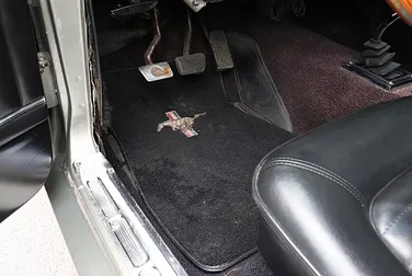 #<Image:0x00007f8df3c91e08>