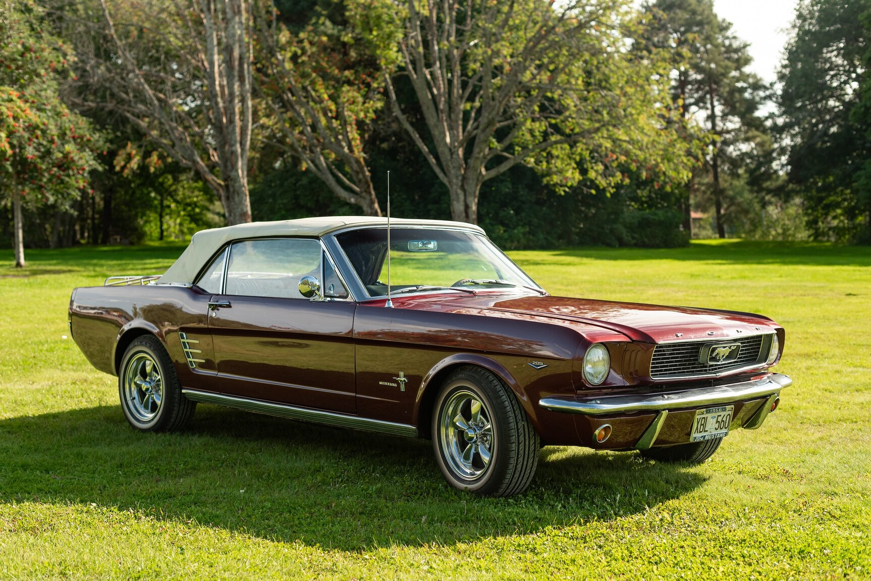 Aussenfoto 1966 Ford Mustang Convertible