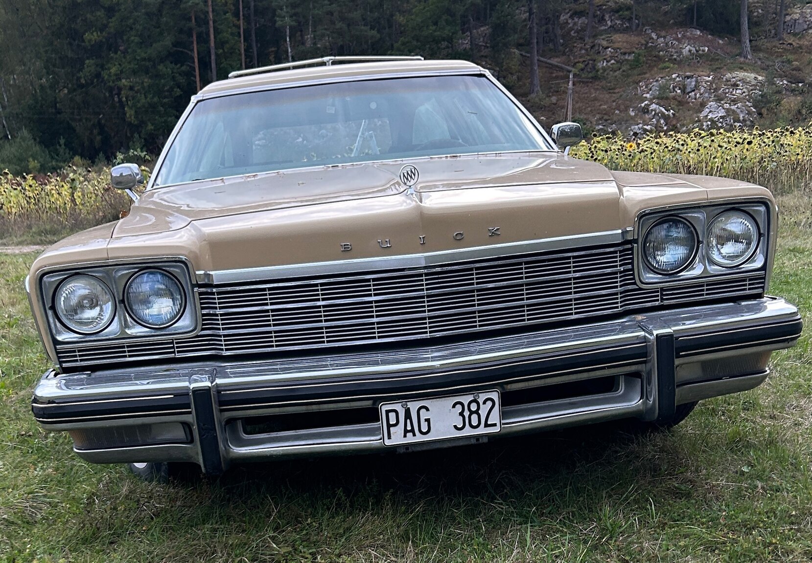 Exterior image of 1973 Buick Estate Wagon
