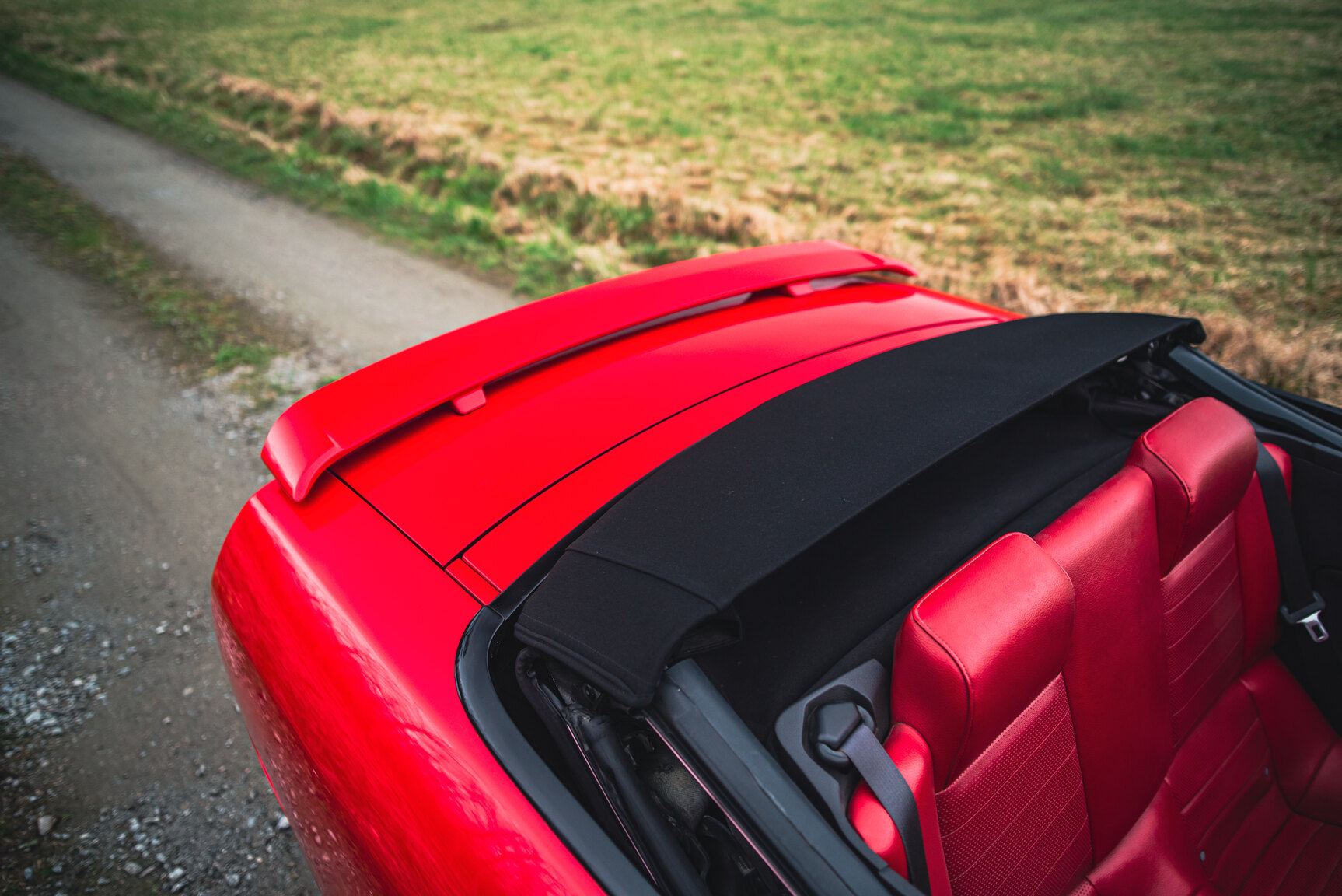 Exterior image of 2009 Ford Mustang V8 GT Convertible