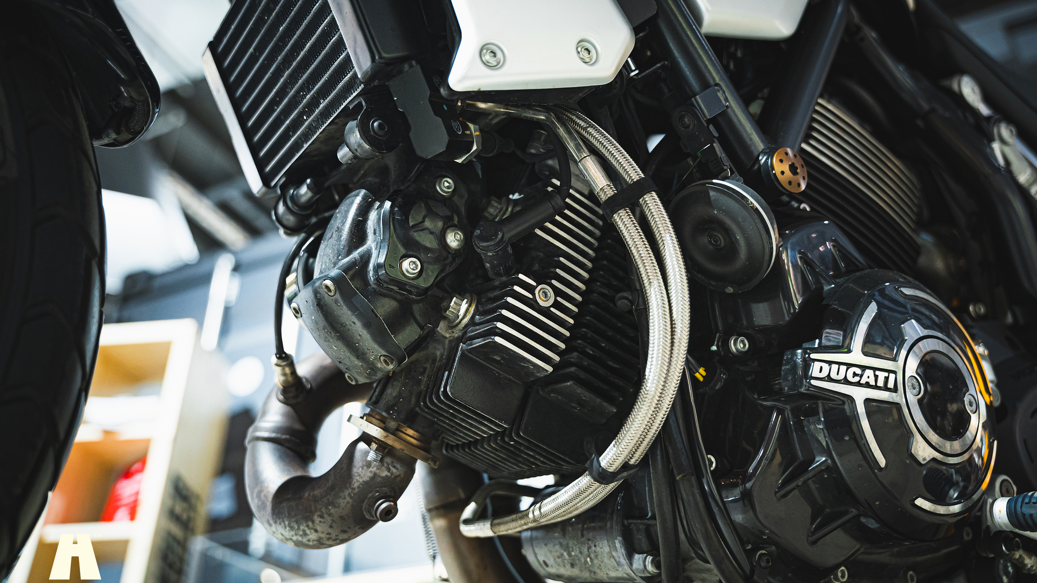 Image of 2018 Ducati Scrambler 1100 mechanics (18)