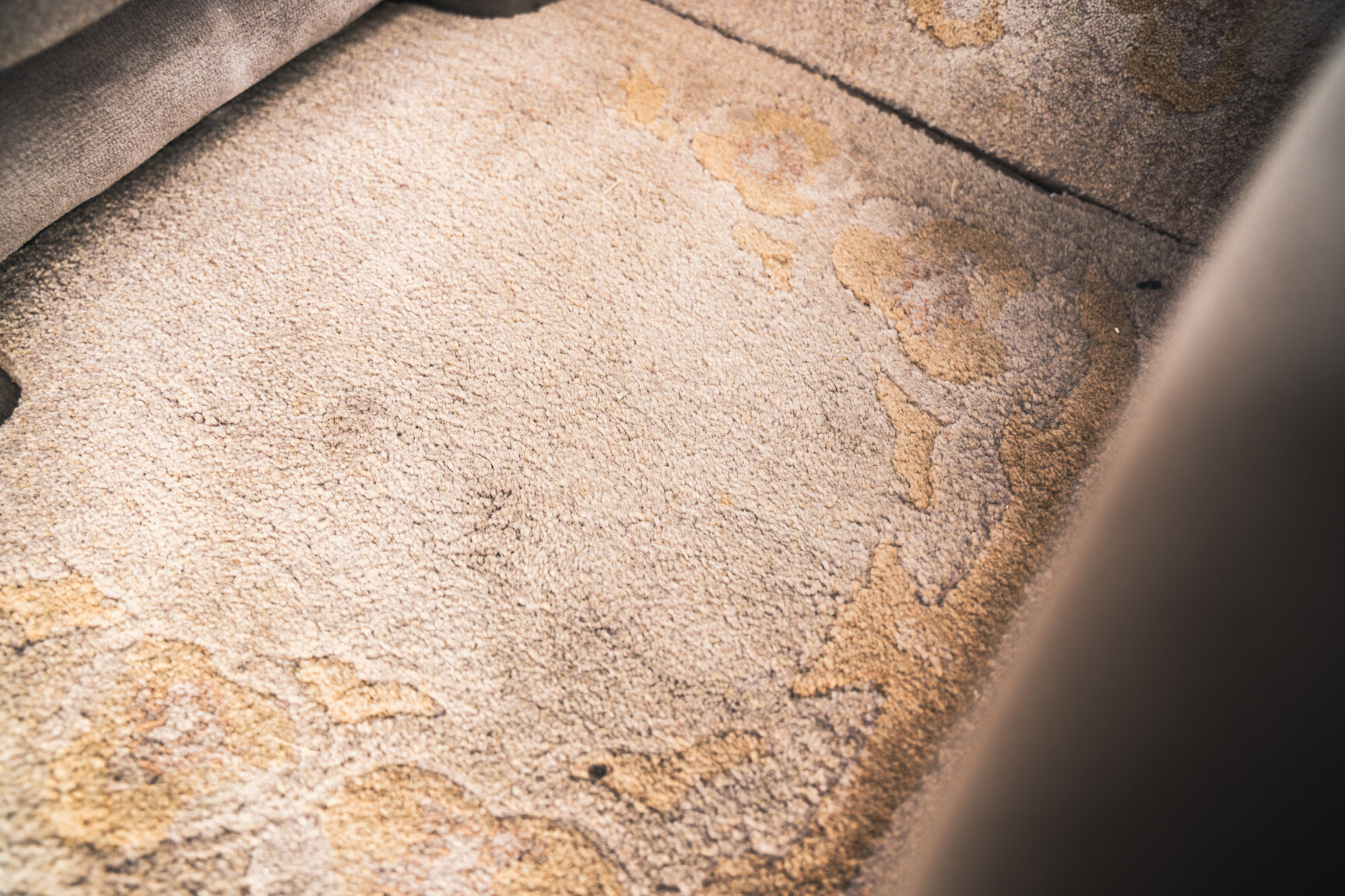 Innenraumfoto von 2000 Toyota Century