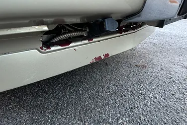 #<Image:0x00007f2ba912e108>