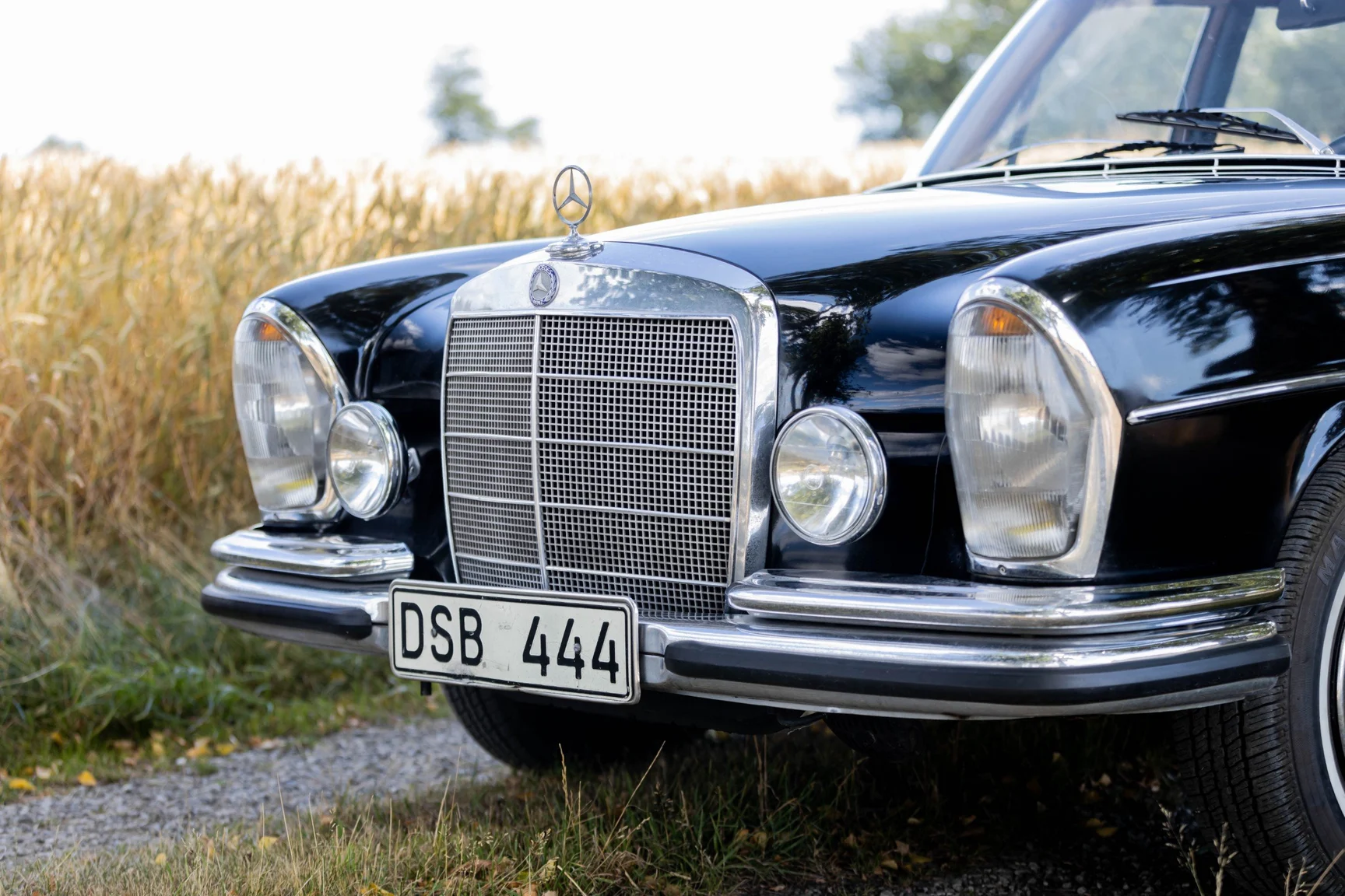 Aussenfoto 1967 Mercedes-Benz 250 S 250 s (25)