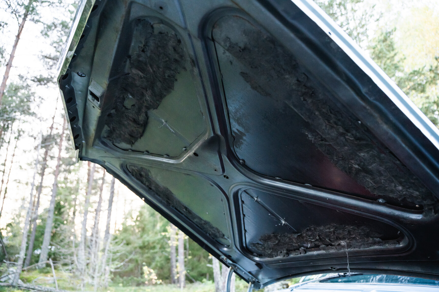 Image of 1966 Oldsmobile Dynamic 88 Celebrity mechanics (5)