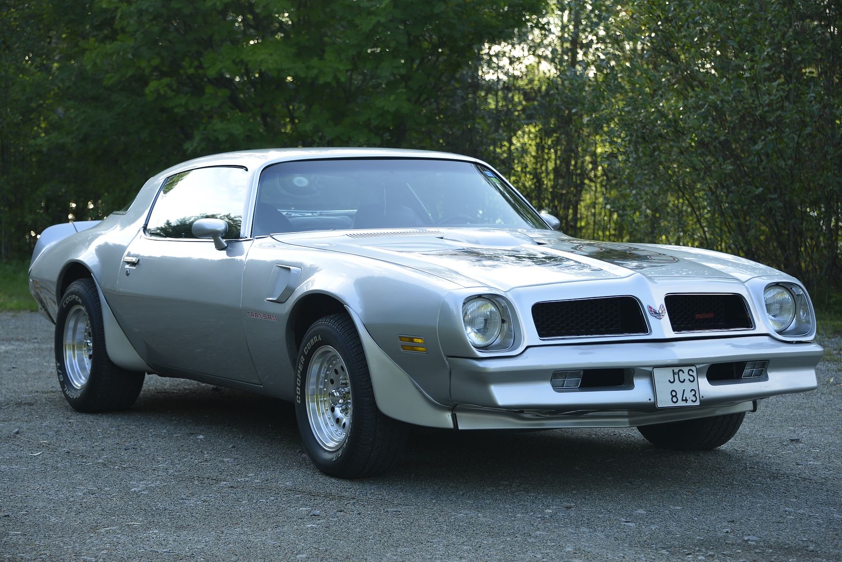 Image of 1976 Pontiac Firebird Trans Am mechanics