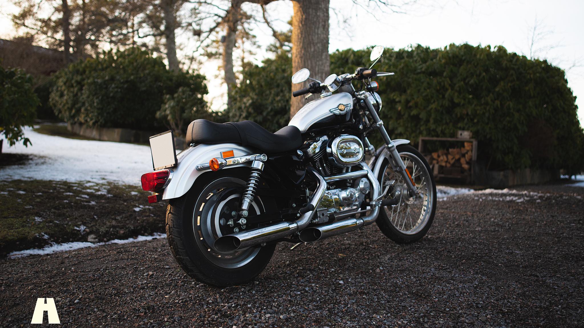 Exterior image of 2003 Harley Davidson Sportster 1200C 100th Anniversary Edition